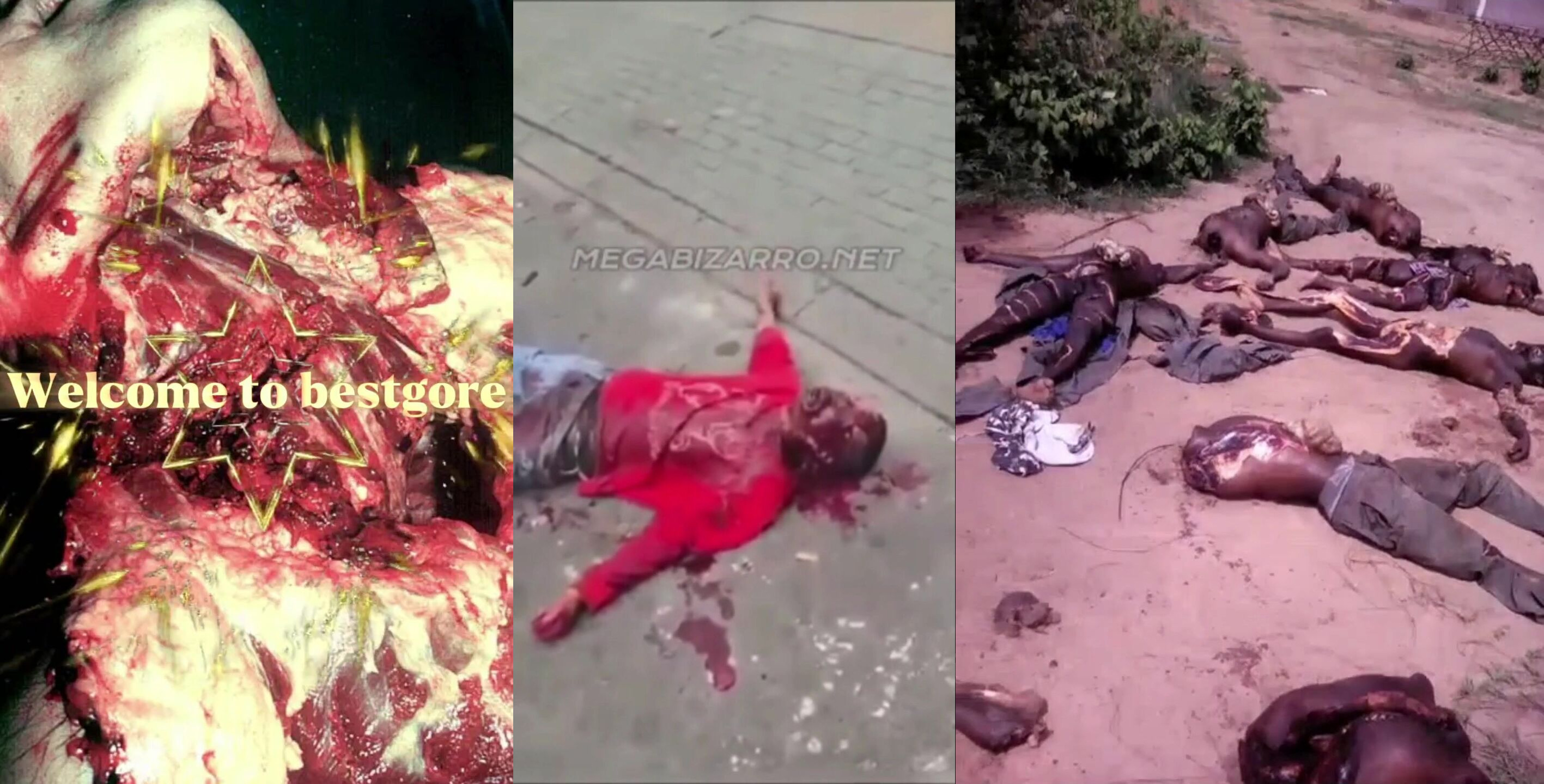 Gore compilation 44