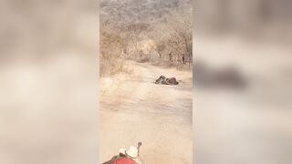 Cartel  Família Michoacana Execute Two CJNG Members With Sniper Rifle {CLASSIC VIDEO}