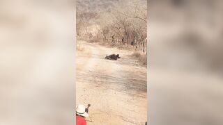 Cartel  Família Michoacana Execute Two CJNG Members With Sniper Rifle {CLASSIC VIDEO}