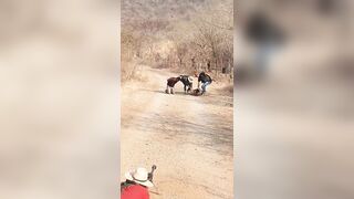 Cartel  Família Michoacana Execute Two CJNG Members With Sniper Rifle {CLASSIC VIDEO}