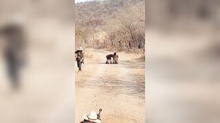 Cartel  Família Michoacana Execute Two CJNG Members With Sniper Rifle {CLASSIC VIDEO}