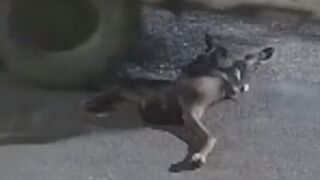 Man Sleeping On The Road Crushed To Death By Truck