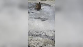 Man Sleeping On The Road Crushed To Death By Truck