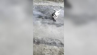 Man Sleeping On The Road Crushed To Death By Truck
