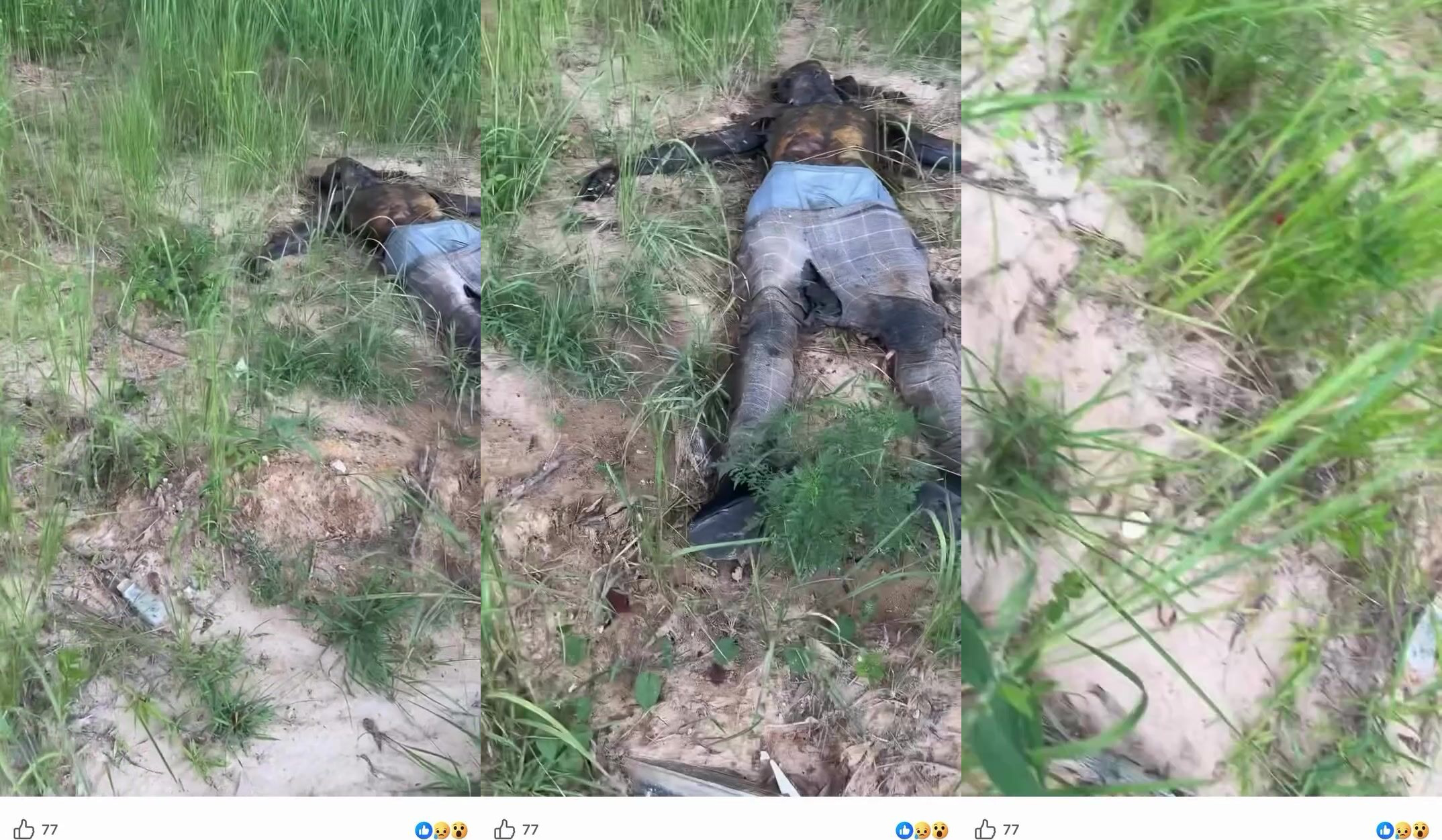 Alabama Man Freaks Out After Finding His Relative Dead And Decomposing