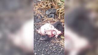 gore compilation