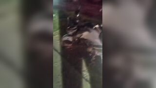 Motorcycle Ride To The Grave