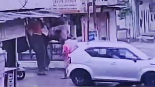 Rickshaw Driver Attacked By Elephant Dies