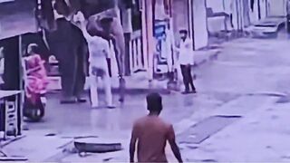 Rickshaw Driver Attacked By Elephant Dies