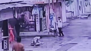 Rickshaw Driver Attacked By Elephant Dies