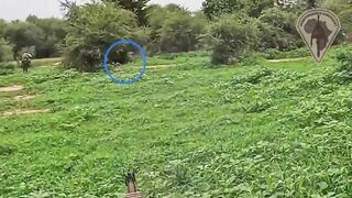 JNIM Terrorists Ambushed And Killed By Africa Corps In Mali