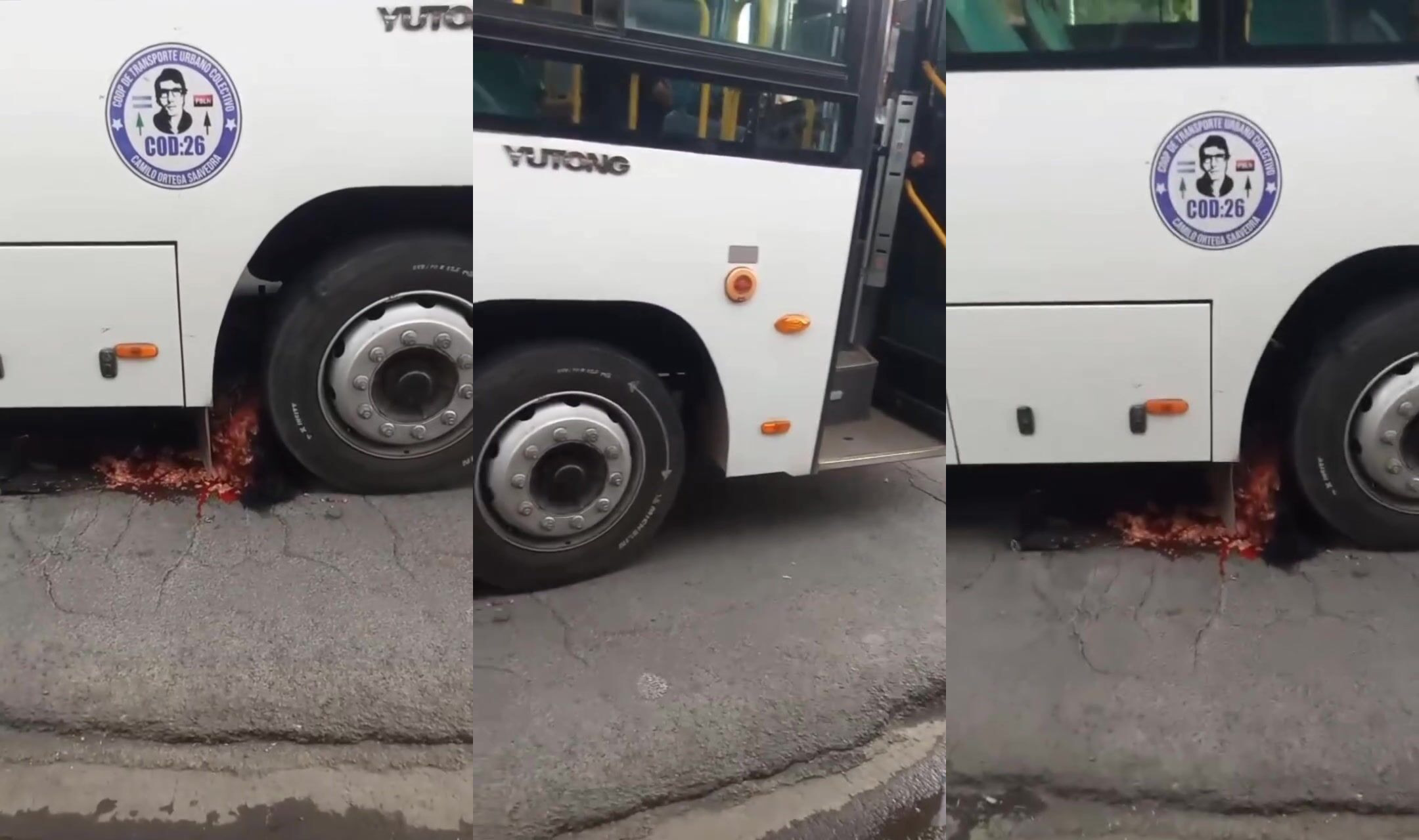 Turned into spaghetti by bus