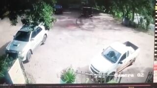 vehicle compilation