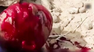 A compilation of gore.