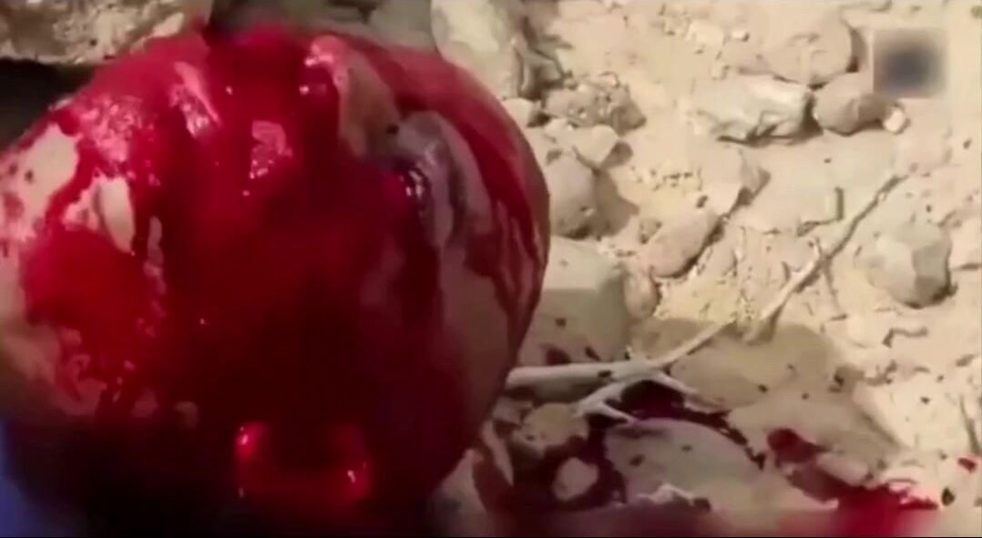 A compilation of gore.