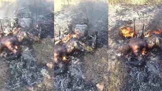Traffic Accident Victim Burned Alive