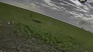 Just another ruzky died tired from running from Ukrainian FPV drone