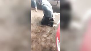 State Attorney General's Office Agent Gets Clubbed By Cartel Sicarios In Michoacán, MX