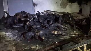 Seven Charred Bodies Found On Property Belonging To Los Águilas Gang Leader