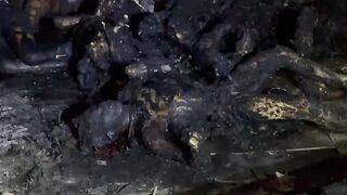 Seven Charred Bodies Found On Property Belonging To Los Águilas Gang Leader