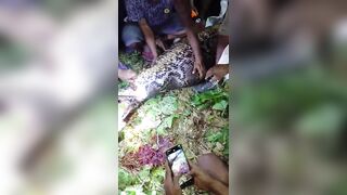 Man Killed And Swallowed by 7-Meter Python In Indonesia