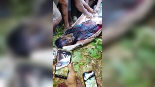 Man Killed And Swallowed by 7-Meter Python In Indonesia