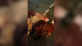 gore compilation