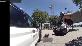 Suspect Shot And Killed After Stabbing A Cop In California