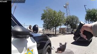 Suspect Shot And Killed After Stabbing A Cop In California