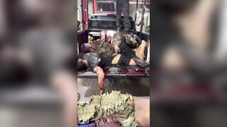 What Happened To Traffickers Who Shot Two Police Officers In Rio