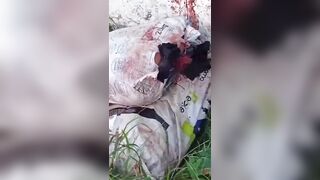Dismembered Bodies Found In  Vila Kennedy, Rio