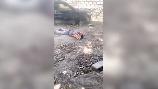 Gang Member Who Humiliated Dead Police Officers Gets Executed In Haiti