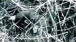 53 Russian Suicides. 2026 compilation.