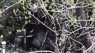53 Russian Suicides. 2026 compilation.