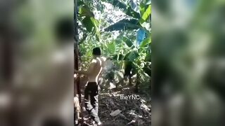 Man Executed Deep Inside Banana Plantation in Mexico