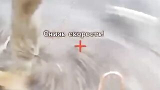 Ukrainian blooper of the month.