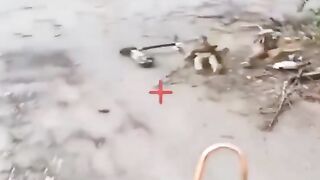 Ukrainian blooper of the month.
