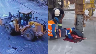 Brazilian Worker`s Nightmare Came True {FULL}