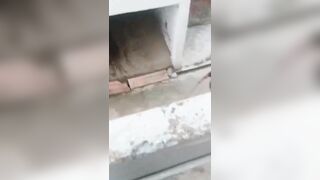 Two Men Get Clubbed With Sticks During Dispute Over A Ditch In India