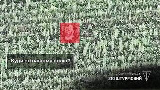 Dead Russians by 210th Regiment.