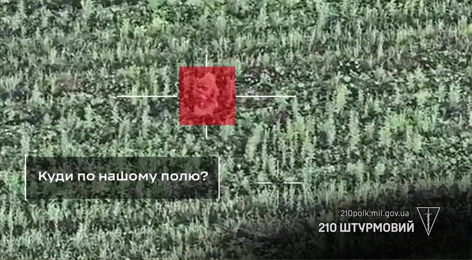 Dead Russians by 210th Regiment.