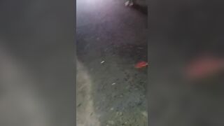 Several Killed After Collision Between Four Motorcycles In Guatemala