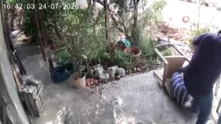Brutal Attack Leaves 80-Year-Old Man Fighting for Life Following Neighborhood Dispute