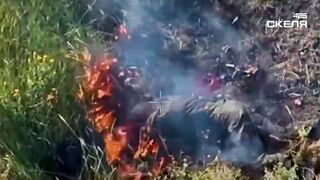 Dozen dead katsaps by 425 Assault Regiment