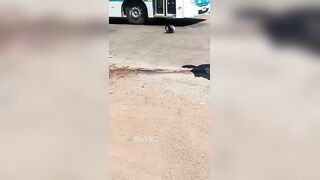 Man Cries After His Wife Fell From His Motorcycle And Was Killed By The Truck