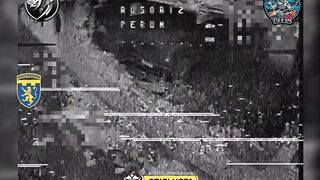 Ukraine's 103rd National Guard Brigade shows how FPV ambush drones hunt Russians