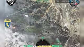 Ukraine's 103rd National Guard Brigade shows how FPV ambush drones hunt Russians