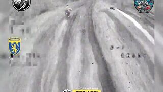 Ukraine's 103rd National Guard Brigade shows how FPV ambush drones hunt Russians