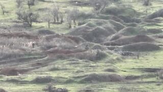 Russian soldier shot at long range.