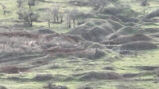 Russian soldier shot at long range.
